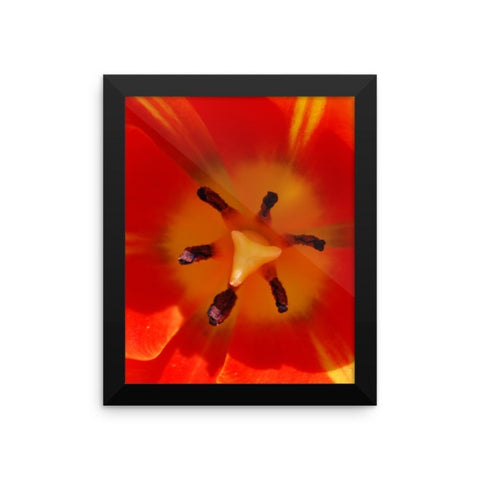 Orange Flower Framed Poster Photo