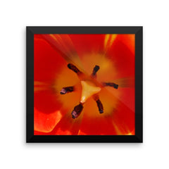 Orange Flower Framed Poster Photo - Susanne Ferrante - 3