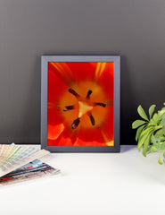 Orange Flower Framed Poster Photo - Susanne Ferrante - 2