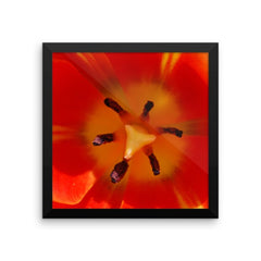 Orange Flower Framed Poster Photo - Susanne Ferrante - 4